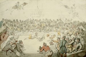 De Westminster Pitt, 1798 door Thomas Rowlandson