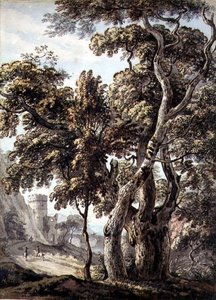 Studie van bomen