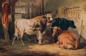 Een stier en drie koeien in een stal, c1856 door Thomas Sidney Cooper