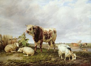 Vee in de weide door Thomas Sidney Cooper