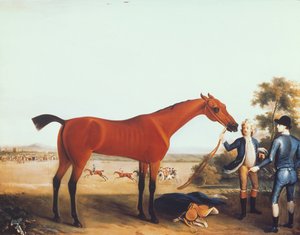 Het Renpaard 