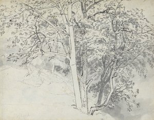 Studie van bomen door Thomas Stothard