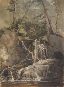 Kleine Waterval in Bos