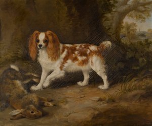 Een spaniël met een dode haas, c.1822-74 door Thomas W. Bretland