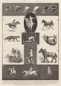 Bewegingen van dieren geïllustreerd door de momentopnamen van Mr Muybridge door Thomas Walter Wilson