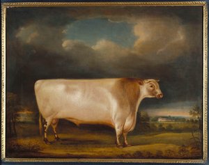 Comet, een lichtroan korthoornstier in een landschap, 1811