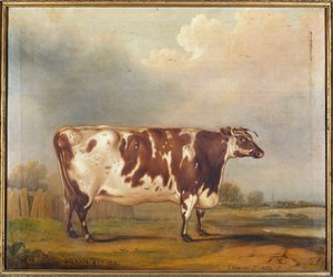 Wildair, een achtjarige vaars in een rivierlandschap, 1827