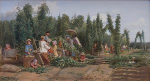 Hop tuin, 1858
