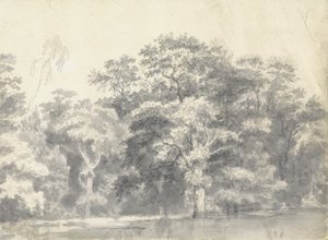 Bomen aan een Rivieroever door Thomas Wyck