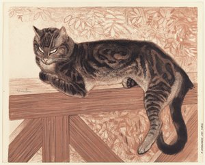 Zomer: Kat op een balustrade