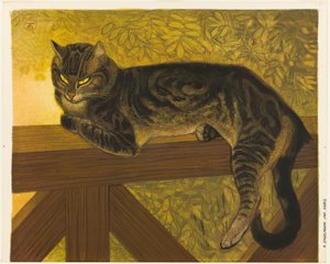 Zomer: Kat op een balustrade