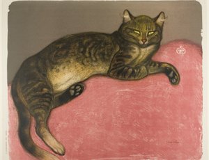 Winter: Kat op een kussen