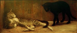 Kat en Kat
