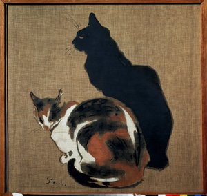 Twee katten