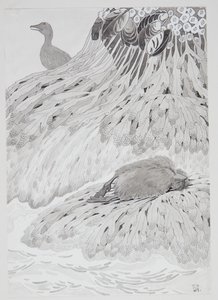 Een eidereend en een dode vogel aan de oever