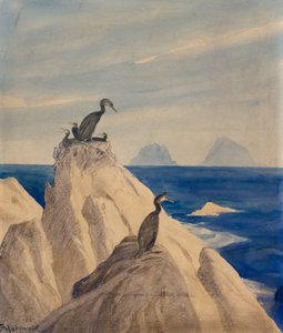 Jan-van-genten door Thorolf Holmboe