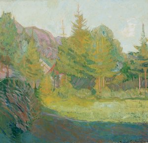 Van Rauland in Telemark