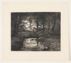 Aa in Borrevejle Bos