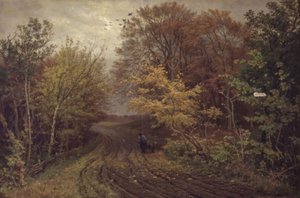 Weg in Borrevejle bos. Oktoberdag