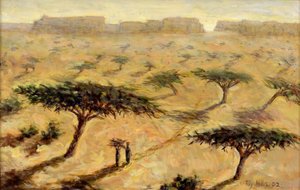 Sahelisch landschap, 2002