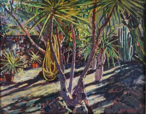 Spaanse cactus tuin, 2023