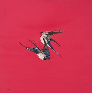 Draai-Rood