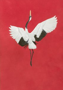 De Dans-Rood door Tim Hayward
