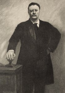 Theodore Roosevelt, 1928 door Timothy Cole