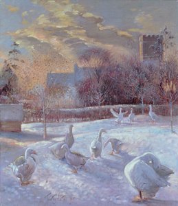 Eerste licht, 1994 door Timothy Easton