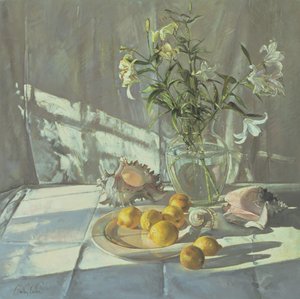 Reflecties en Schaduwen door Timothy Easton