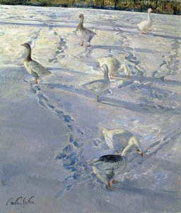Schaduwen en Paden door Timothy Easton