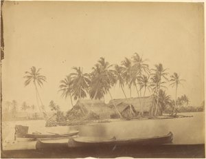 [Baai van Limón, Isthmus van Darién (Panama)]. door Timothy H. OSullivan