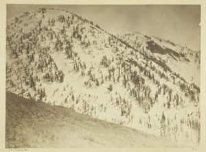 Sneeuwtoppen, Bull Run-mijndistrict, Nevada door Timothy O