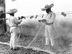 Vissers met netten, Mexico, ca. 1926
