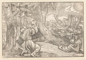 Heilige Franciscus ontvangt de stigmata door Titiaan