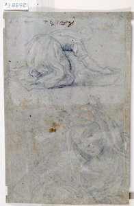 Studies van de Maagd