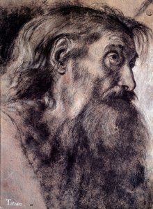 Hoofd van een oude man Tekening door Tiziano Vecellio genaamd Titiaan (1485-1576) 16e eeuw Parijs, Louvre Museum door Titian (c.1488 1576)
