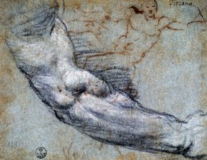 Studie van arm, door Titiaan (ca. 1488-1576), tekening