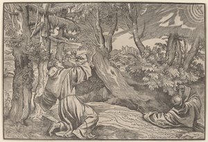 Sint Franciscus ontvangt de stigmata door Titian