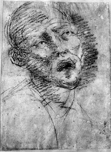 Hoofd van een Moor, ca. 1525 door Tiziano Vecelli