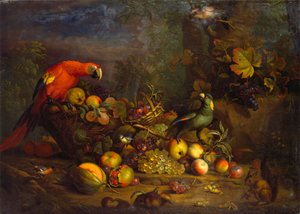 Papegaaien en fruit met andere vogels en een eekhoorn