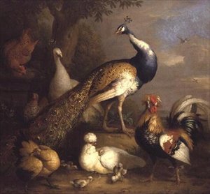 Pauw, pauwhen en pluimvee in een landschap door Tobias Stranover
