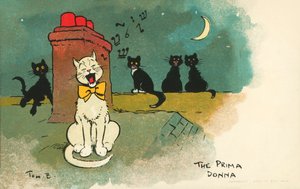 Prima donna