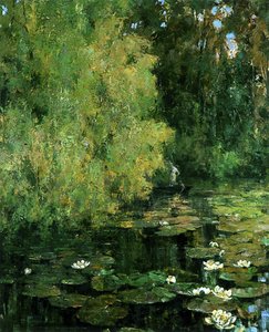 De Lelievijver, 1905