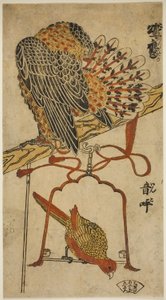 Sperwer en Ara (Konori taka, inko) door Torii Kiyomasu I