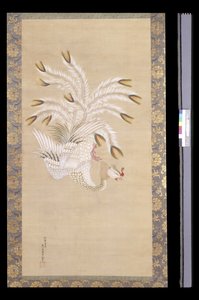 Phoenix, uit Chinese Schoonheid, Phoenix en Pauw