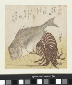 De zeebaars van de Yanagiya in Odawarachô door Totoya Hokkei