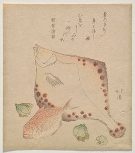 Bot, zeebrasem met fukujus? knoppen door Totoya Hokkei