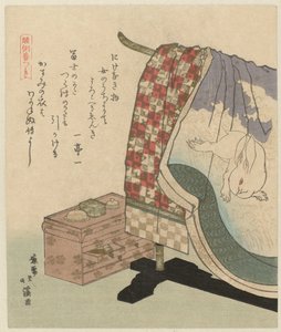 Kimono met konijn
