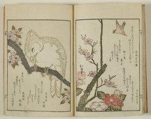 Kyoka hyakucho Kocho